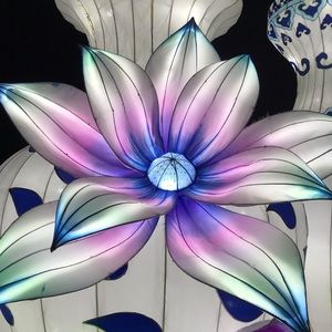 Meet your Posher, Delaney